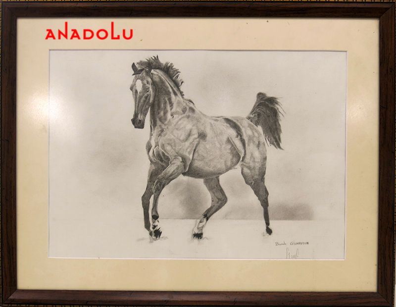 Karakalem At Resmi Çizin Kişiler Çukurova