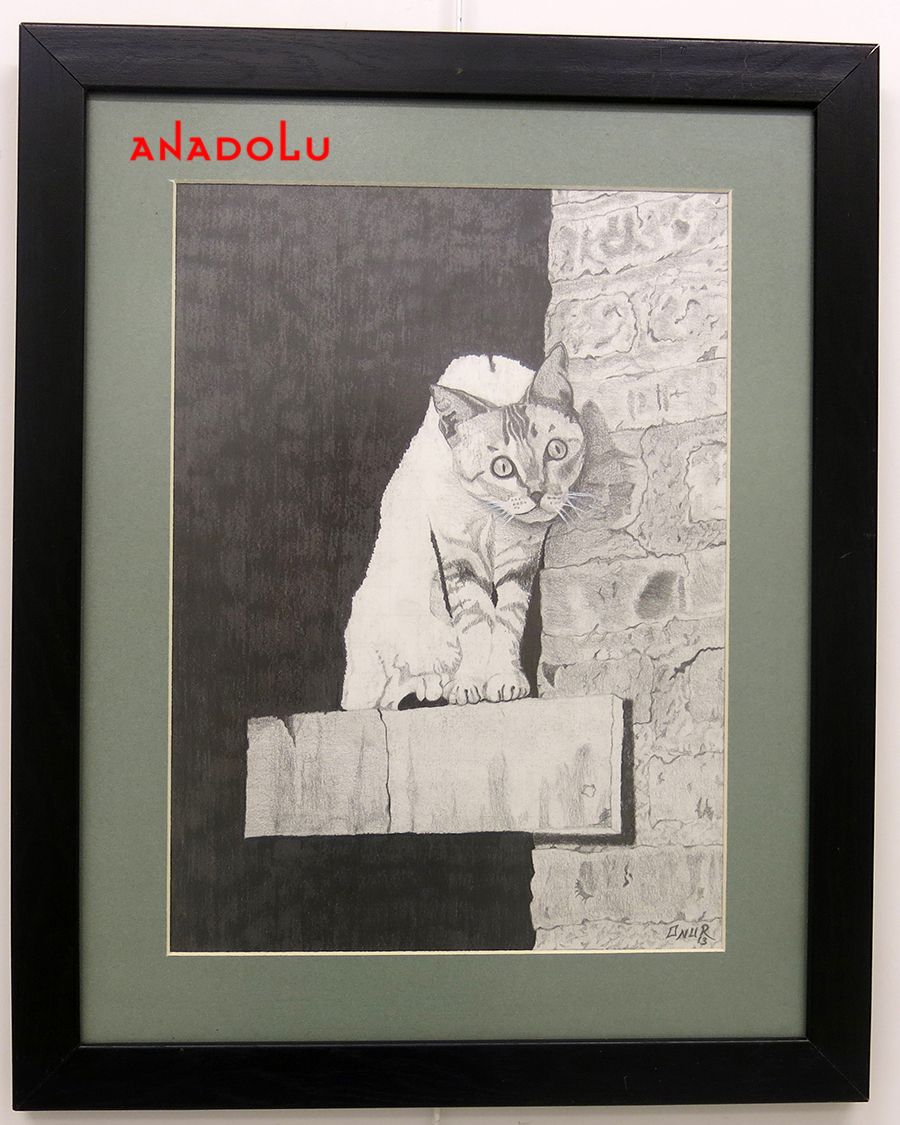 Anadolu Çizim Dersleri Çukurova