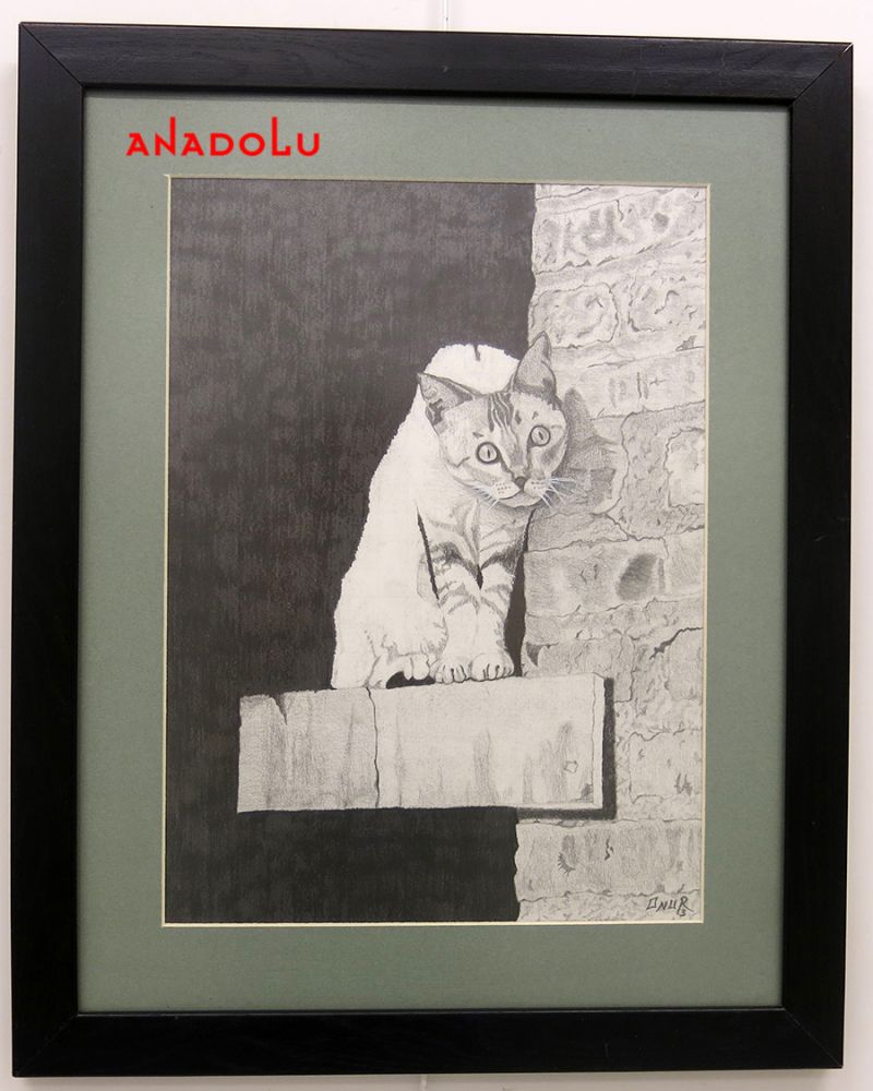 Anadolu Çizim Dersleri Çukurova