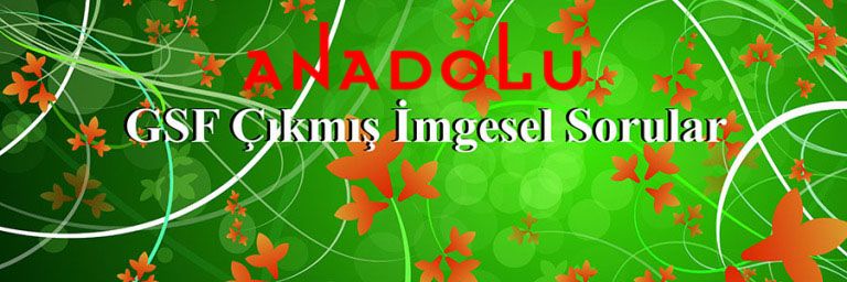 Güzel Sanatlar Sınavında Çıkmış İmgesel Konuları Çukurova