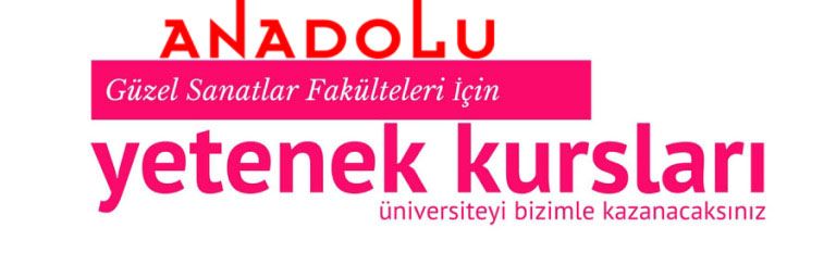 Anadolu Güzel Sanatlar Fakülteleri İçin Yetenek Kursları Çukurova